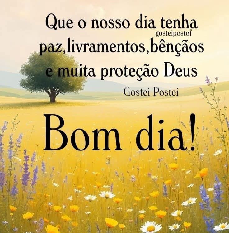 Capa de NILVANETE DE CASTRO SILVA